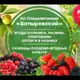 Аватар канала Плодопитомник Батыревский