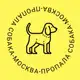 Аватар канала Пропала собака Москва