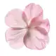 Аватар канала Little Lady Shop