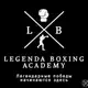 Аватар канала Академия Бокса «Легенда»