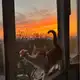 Аватар канала Вайбовые фото
