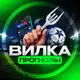 Аватар канала ВИЛКА