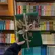 Аватар канала Найти, читать и скачать КНИГИ онлайн бесплатно
