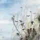 Аватар канала Айда в Сусанино!