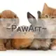 Аватар канала PᴀwArᴛ /conf