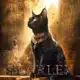 Аватар канала 𝐬𝐭𝐚𝐫𝐥𝐞𝐱 🐈‍⬛