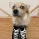 Аватар канала Marshem loops