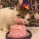 Аватар канала Д Е С Е Р Т Ы