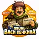 Аватар канала Жизнь Васи Печкина