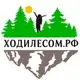 Аватар канала ХодиЛесом | Туры по Приморью