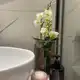 Аватар канала Flow Floral orchids || Орхидейные композиции «Поток ФлорАл»