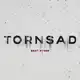 Аватар канала TORNSAD | Beat Store