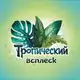 Аватар канала Тропический всплеск/Tropic splash