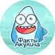 Аватар канала Факты Акулича