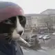 Аватар канала что-то рисуется