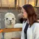 Аватар канала Чайка на фикусе| Книги и цветы