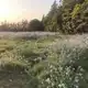 Аватар канала Info Solar