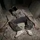 Аватар канала большой дым