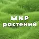 Аватар канала Мир Растений 🌳 дача