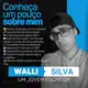 Аватар канала Escritor Walli Silva