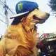 Аватар канала meme animations daily + cf || НАБОР АДМИНОВ !!