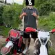 Аватар канала Дигродант