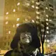 Аватар канала Артем Пора Домой