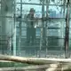 Аватар канала file