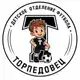 Аватар канала ДОФ «Торпедовец»