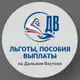 Аватар канала Льготы/Пособия/Выплаты на ДВ