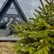 Аватар канала Gracehouse_vl