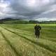 Аватар канала либрос ридос