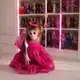 Аватар канала Woman monkey doll🐒