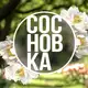 Аватар канала Путь к мечте через ландшафт | Сосновка