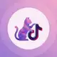 Аватар канала TikTok Hack