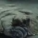 Аватар канала Камбала