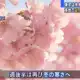 Аватар канала ;;🎆инфо с1мфония🍓;;