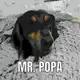 Аватар канала oh woopi ...