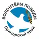 Аватар канала Волонтёры Победы | Приморский край🕊