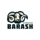 Аватар канала Barash Production
