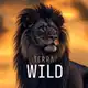 Аватар канала TERRA WILD | Мир зверей