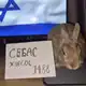 Аватар канала RADIOACTIVE WWW