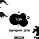 Аватар канала Tor VPN