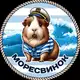 Аватар канала Моресвинок