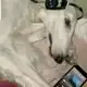 Аватар канала Гравиййййй