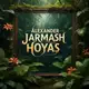 Аватар канала Alexander Jarmash (hoyas) 🌺