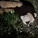 Аватар канала максим выход