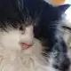 Аватар канала Аэропорт (Потерянный Тапок)