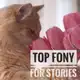 Аватар канала ツ 𝑻𝒐𝒑 𝒇𝒐𝒏𝒚