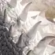 Аватар канала 𝔡𝔯𝔞𝔤𝔬𝔫